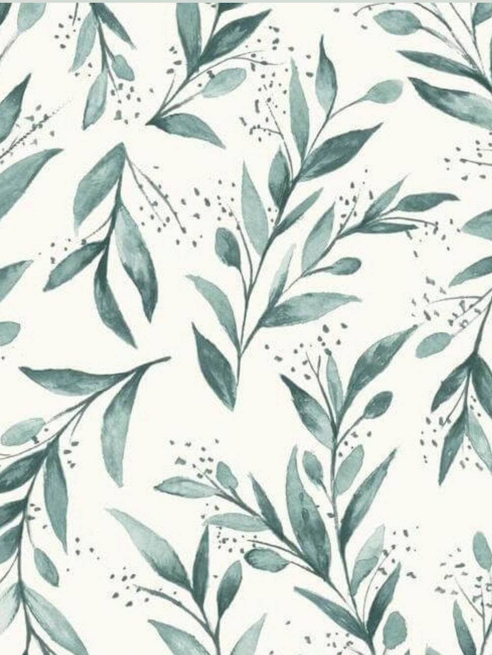 Wallpaper Olive Branch Weekends Green/Teal & White